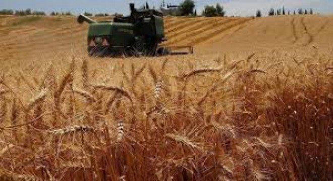 TARSİM, Üreticilere 3,15 Milyar Lira Ödeme Yaptı